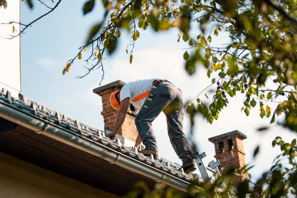 Roof Gutter Cleaning in Buckhorn, CA
